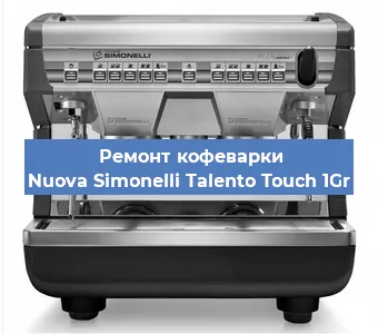 Чистка кофемашины Nuova Simonelli Talento Touch 1Gr от кофейных масел в Ростове-на-Дону